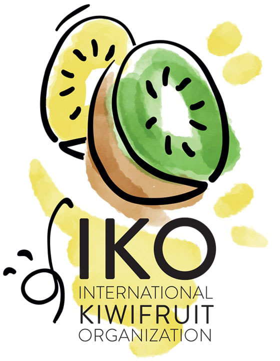 IKO Logo